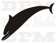 /album/ryby/ryby-24-jpg/